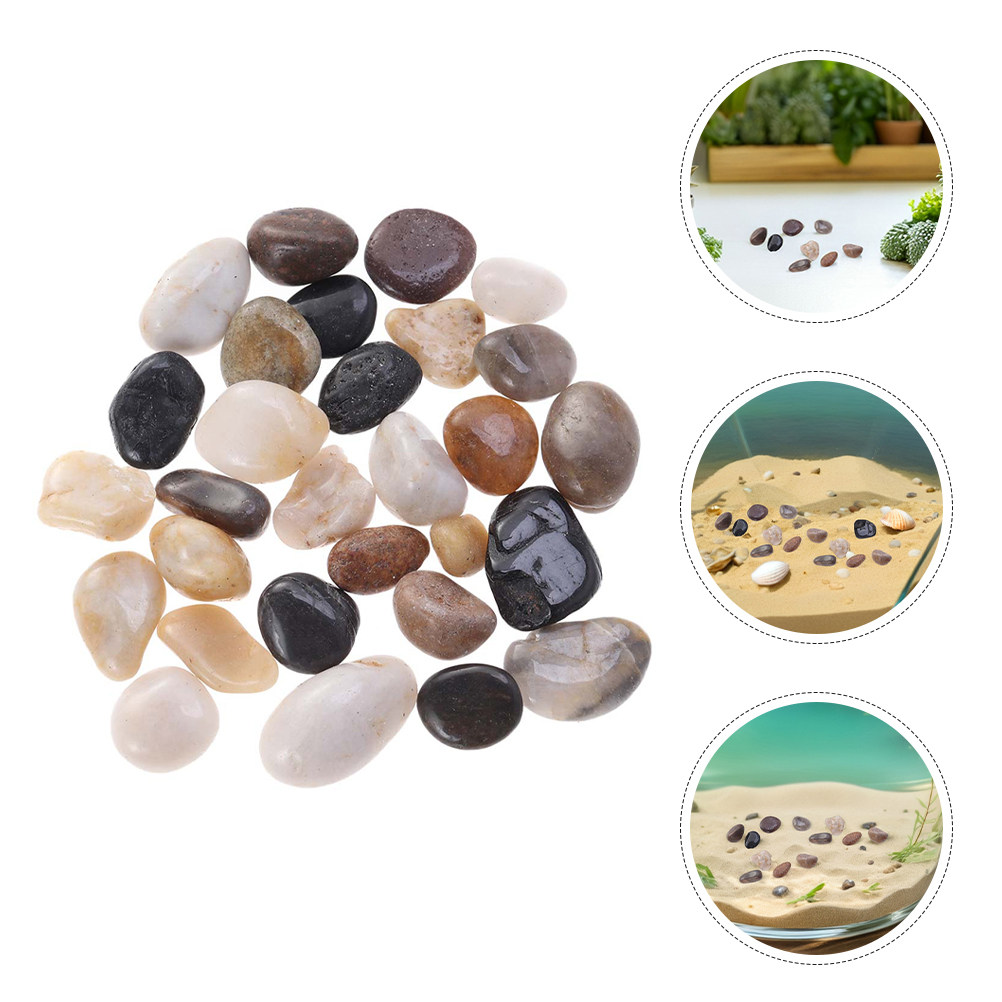 Bonsai Rock Garden - 1Set Vibrant Polished River Rocks Smooth