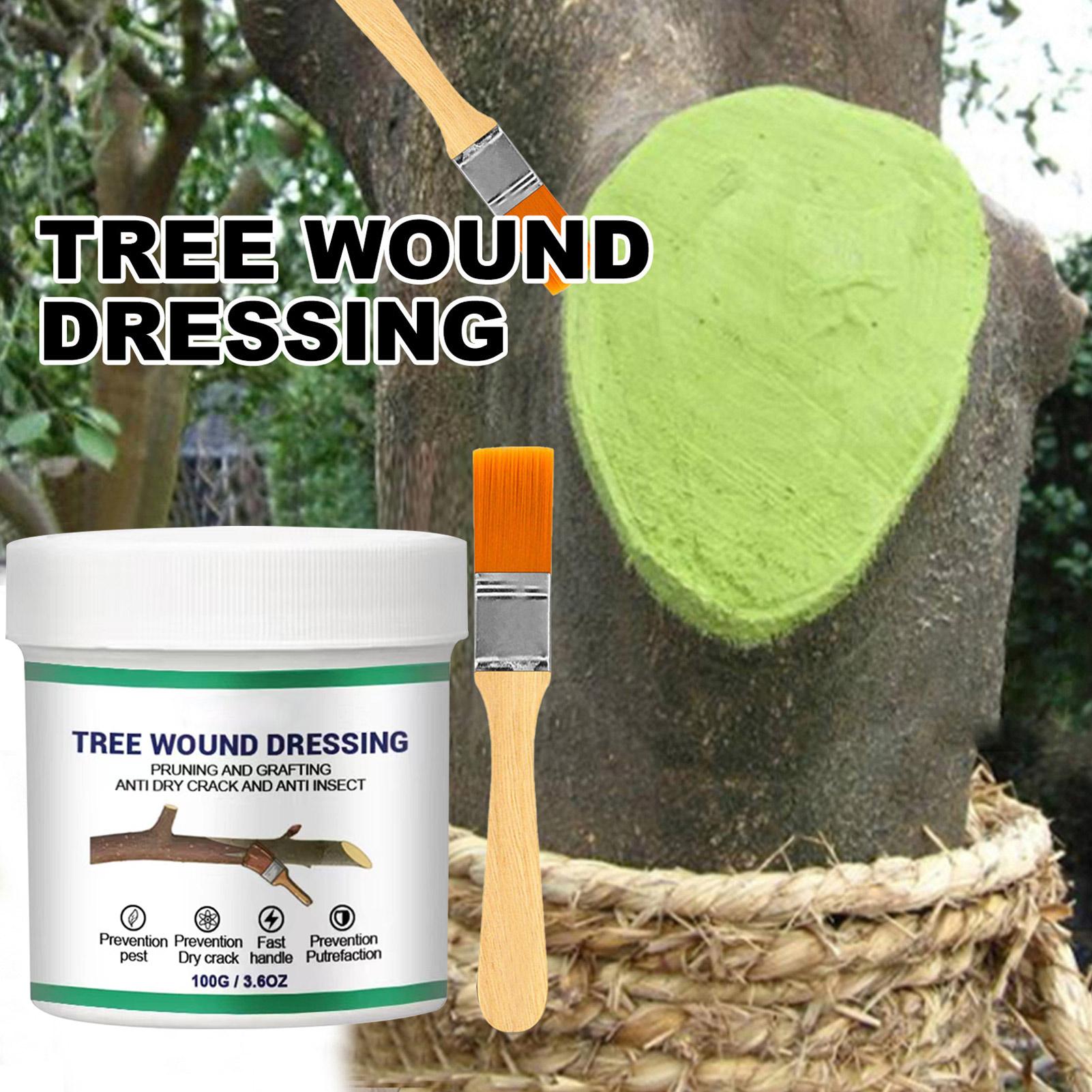 Bonsai Garden Plants - 100g Tree Wound Pruning Sealer Pruning