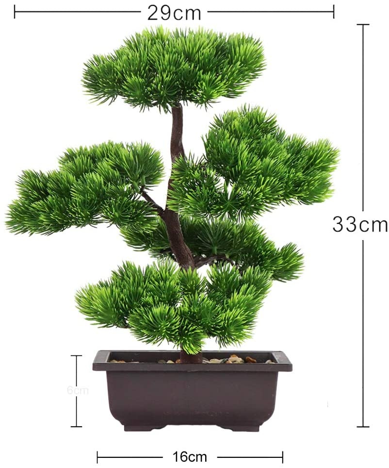 Japanese Pine Bonsai Plant for - огляд і ціна Japanese Garden Bonsai