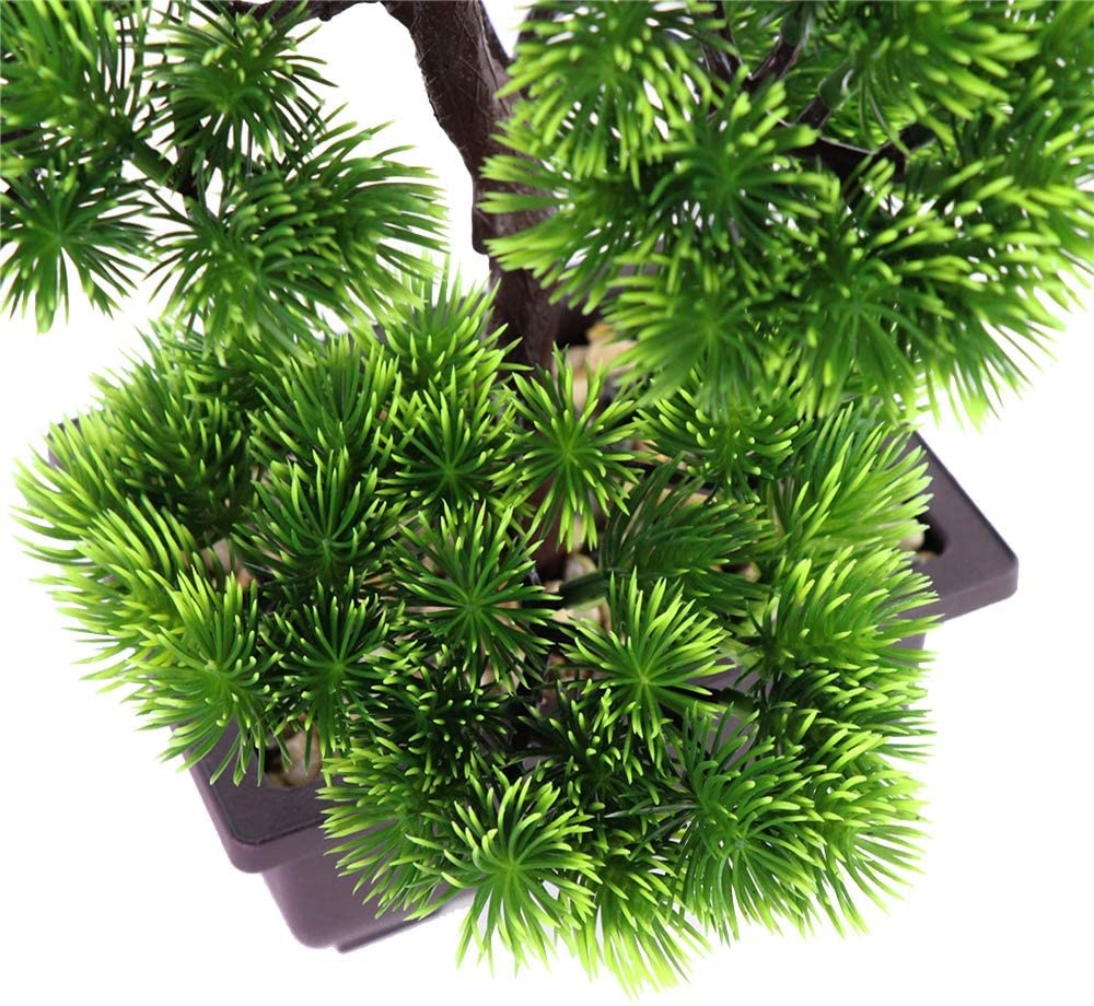Japanese Pine Bonsai Plant for - огляд і ціна Japanese Garden Bonsai