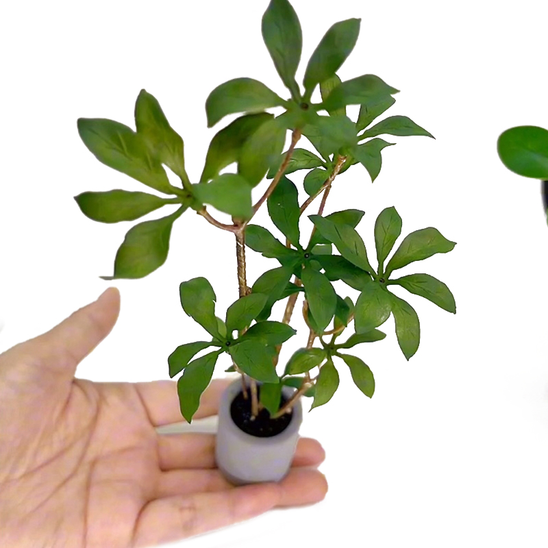 1:6 Dollhouse Miniature Potted - огляд і ціна Bonsai Garden Plants