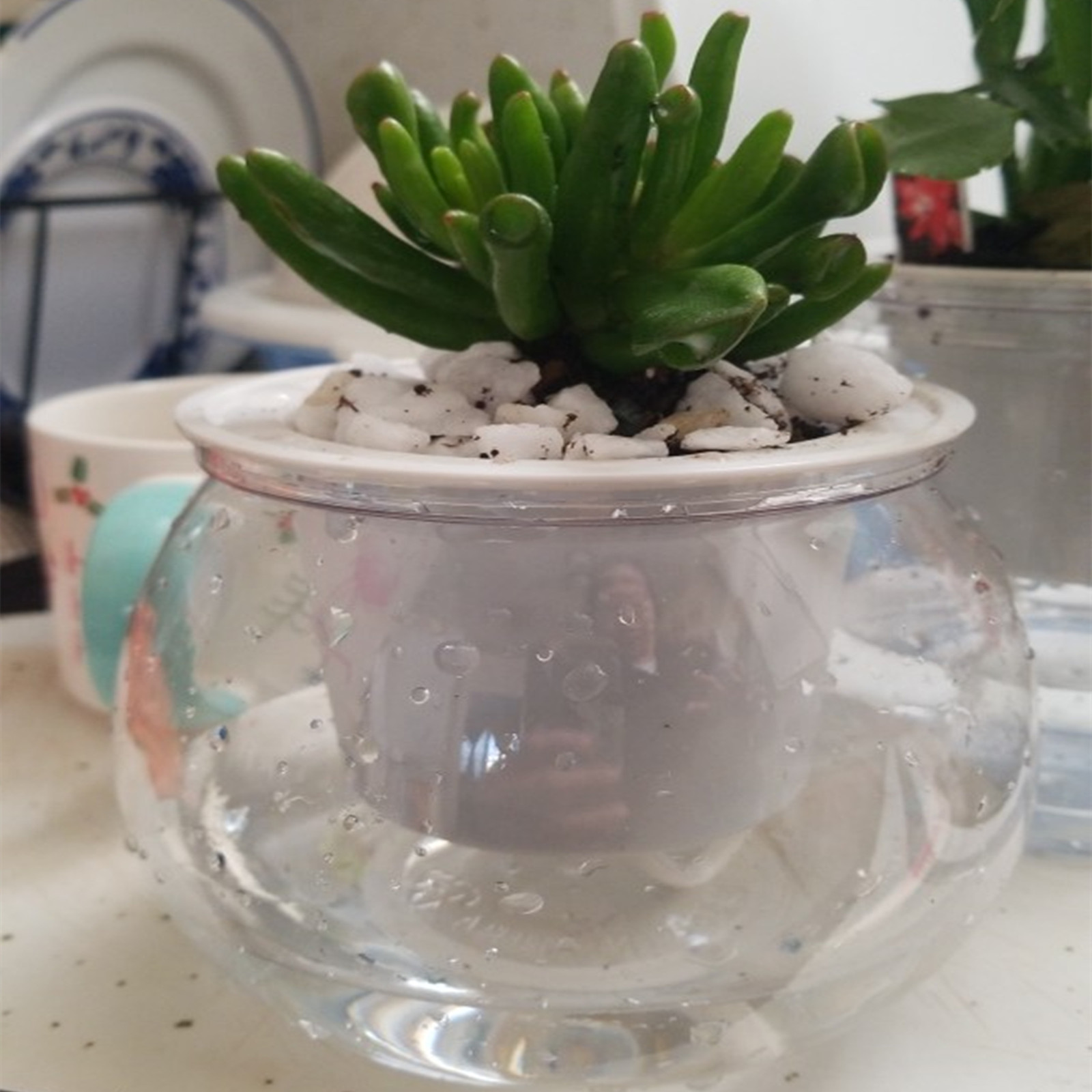 Self Watering Planter Pots Min - огляд і ціна Japanese Garden Bonsai