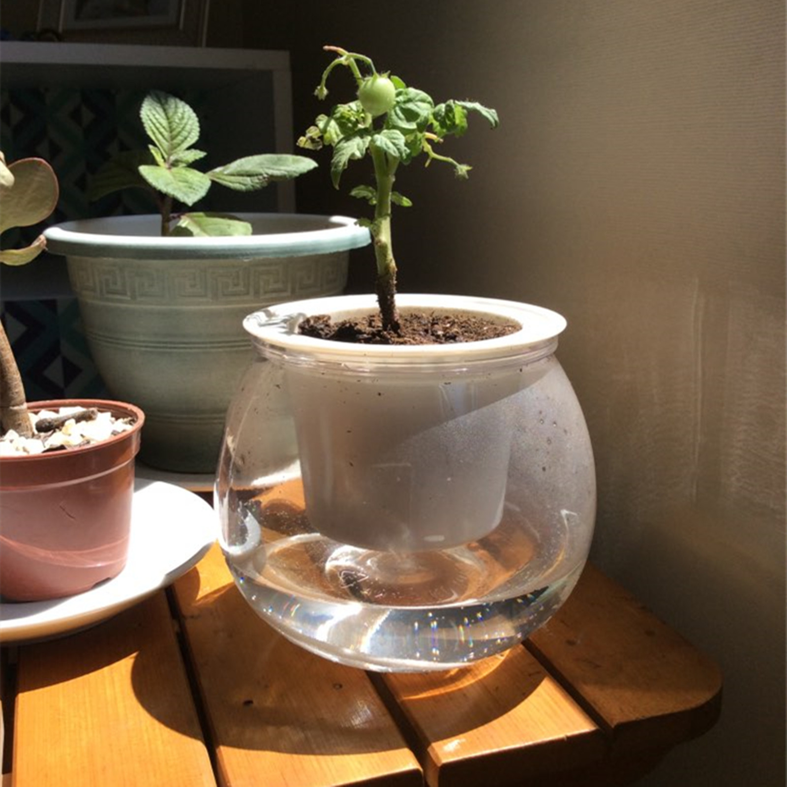 Self Watering Planter Pots Min - огляд і ціна Japanese Garden Bonsai
