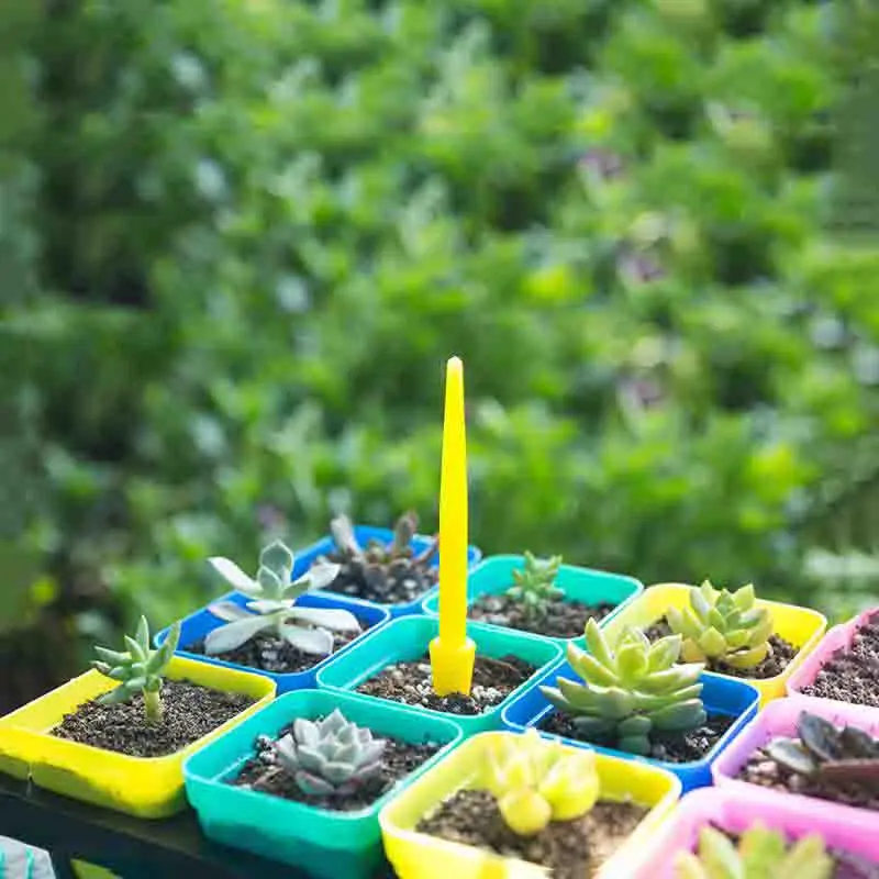 1/10Pcs Sowing Succulents Tran - огляд і ціна Bonsai Tool Set
