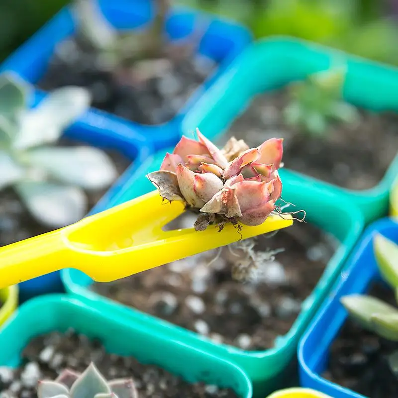 1/10Pcs Sowing Succulents Tran - огляд і ціна Bonsai Tool Set
