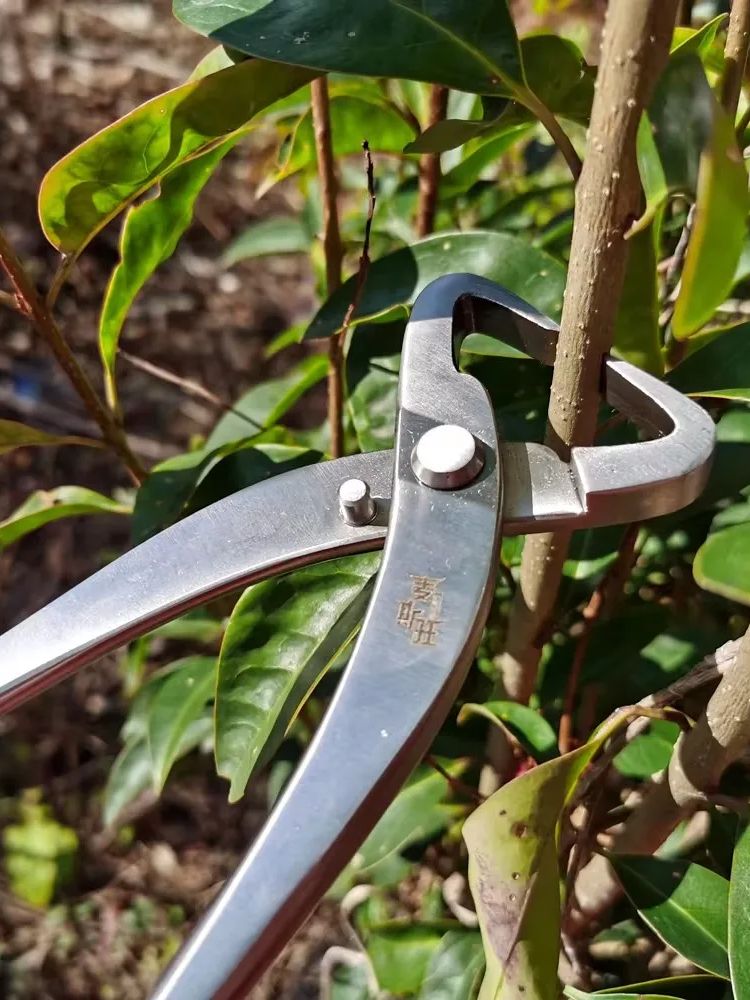 Professional Bonsai Tool Set   - огляд і ціна Bonsai Tool Set