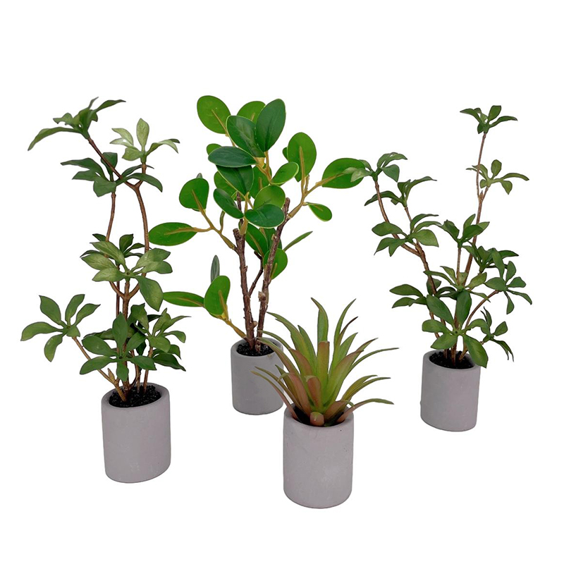 1:6 Dollhouse Miniature Potted - огляд і ціна Bonsai Garden Plants