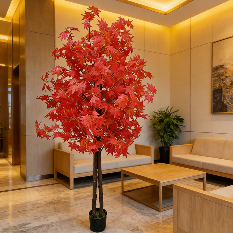 Maple Tree for Home and Garden - огляд і ціна Japanese Garden Bonsai