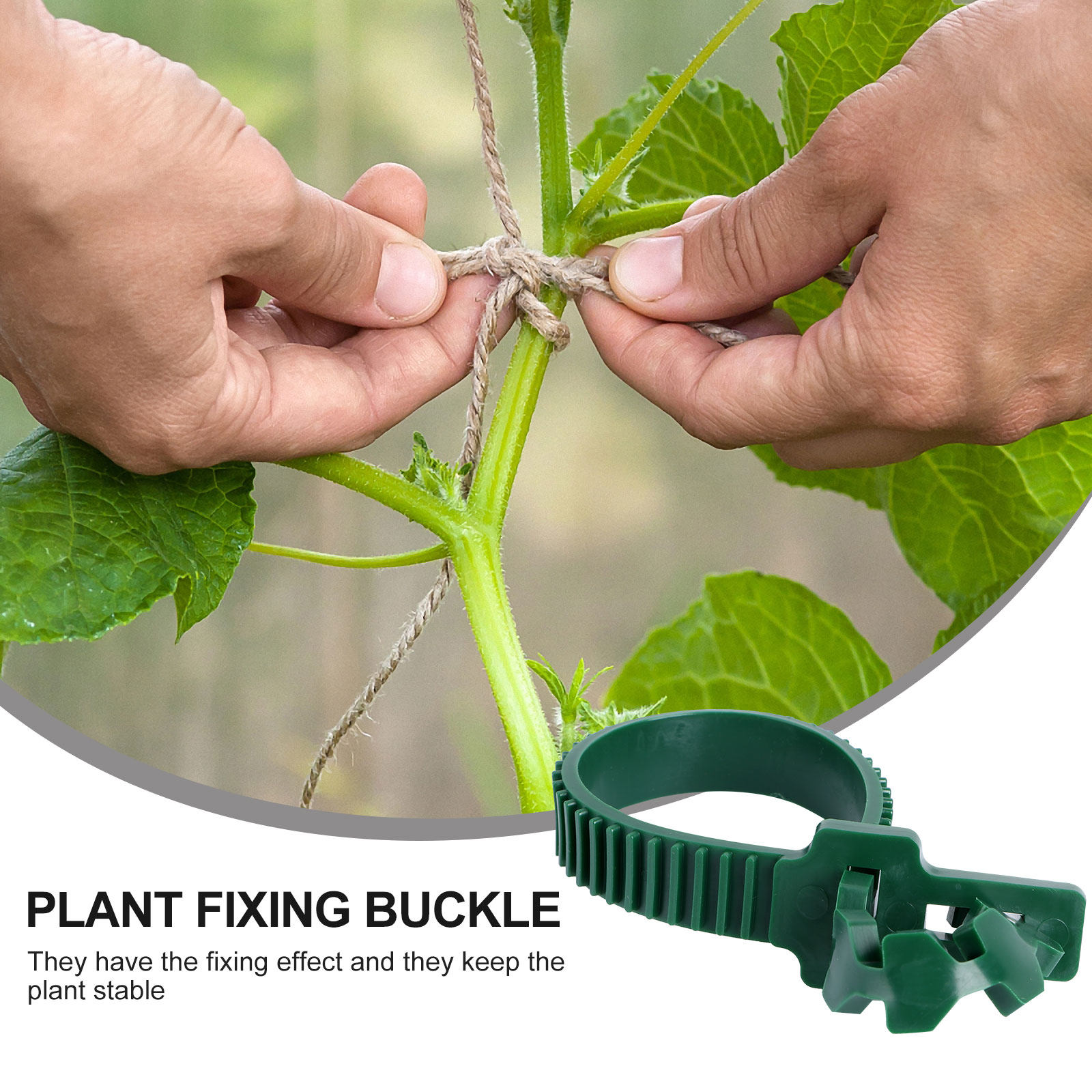 20Pcs Vine Fixing Buckle Garde - огляд і ціна Bonsai Garden Plants