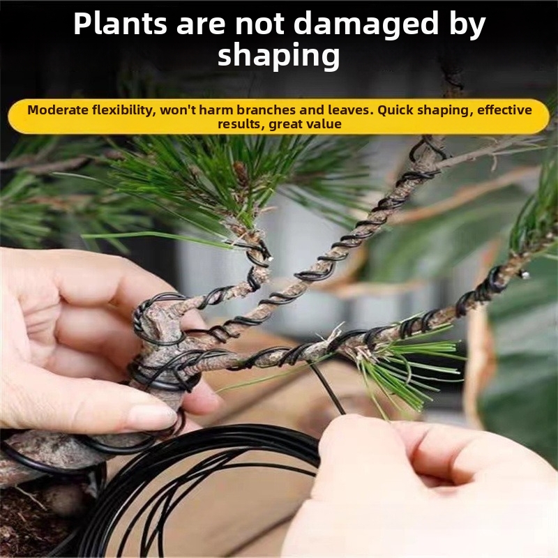 1.5MM Bonsai Wires Aluminum Bo - огляд і ціна Bonsai Garden Plants