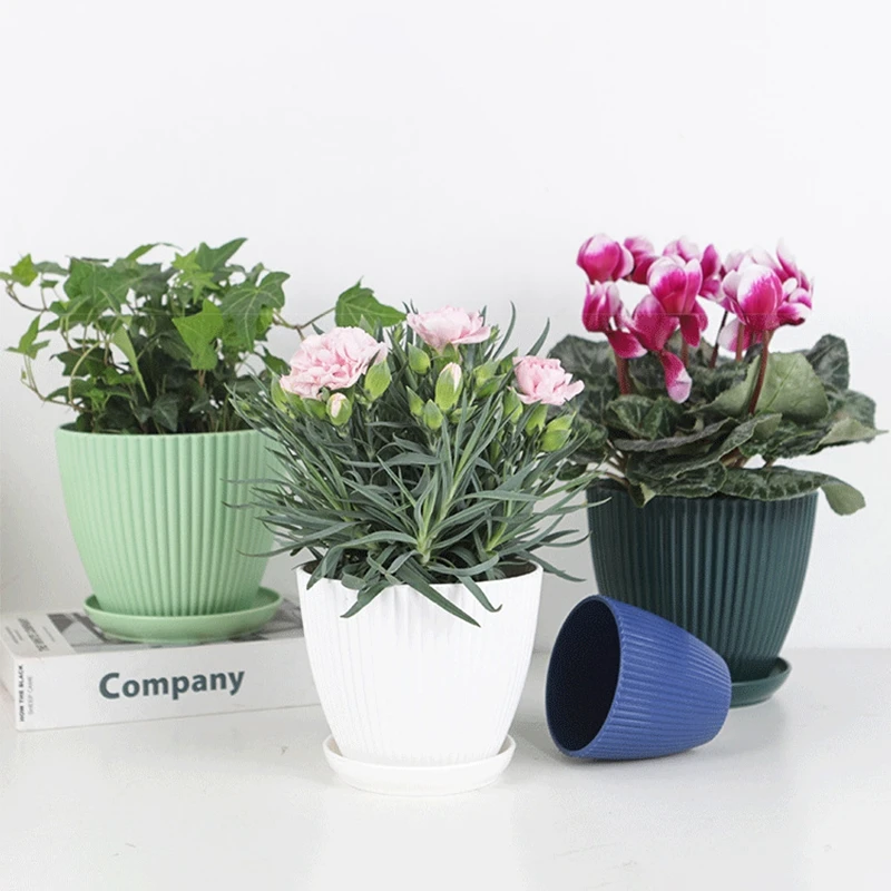 Succulent Potted Round Pot wit - огляд і ціна Japanese Garden Bonsai