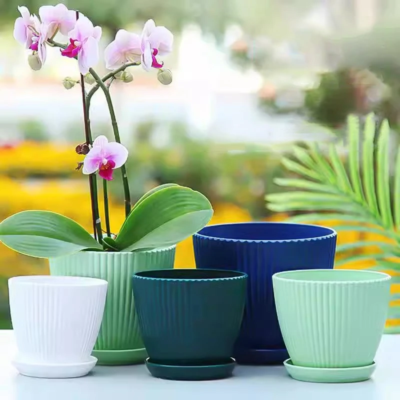 Succulent Potted Round Pot wit - огляд і ціна Japanese Garden Bonsai