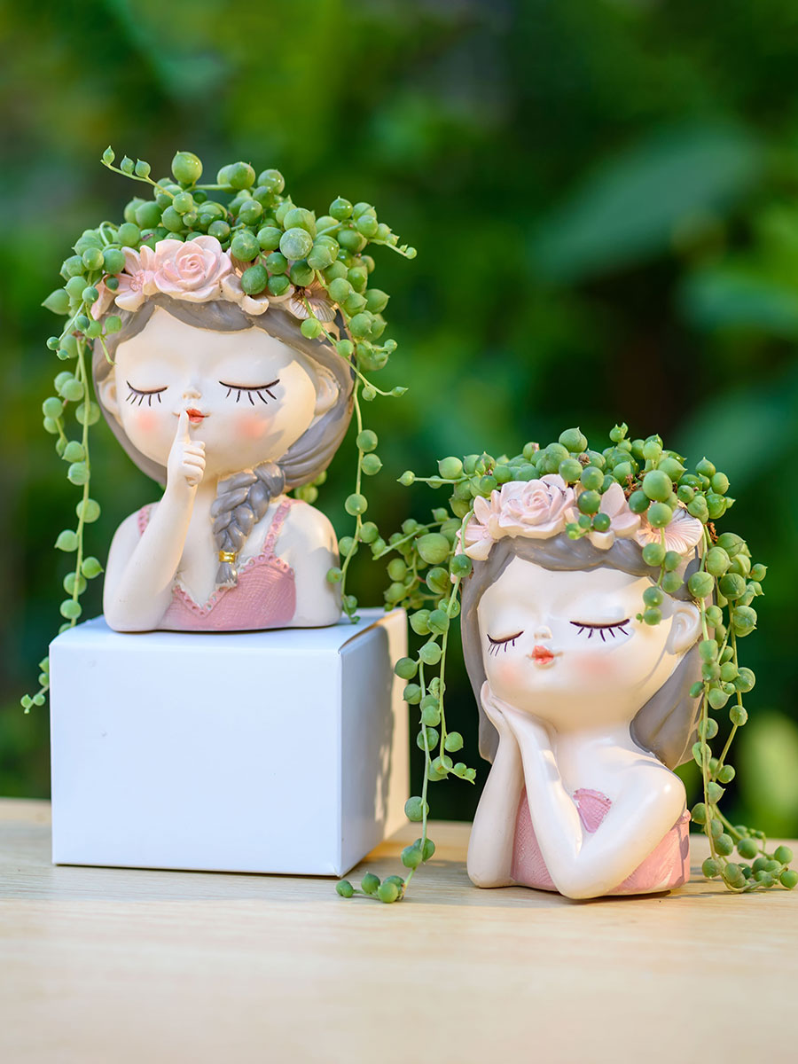 Fairy Succulents Planters Flow - огляд і ціна Japanese Garden Bonsai