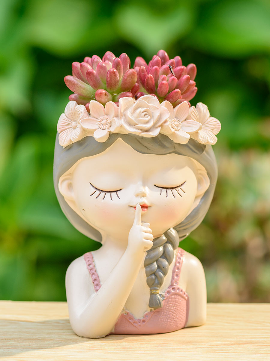Fairy Succulents Planters Flow - огляд і ціна Japanese Garden Bonsai