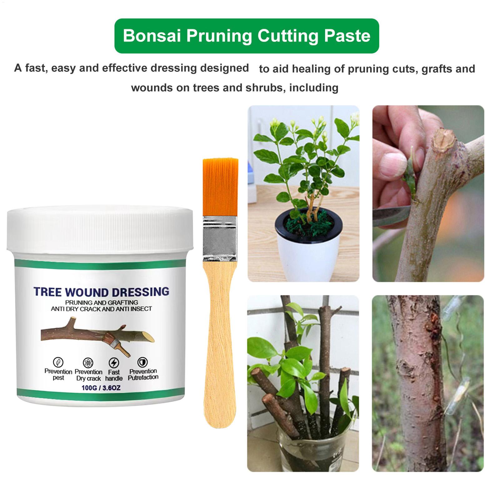 100g Tree Wound Pruning Sealer - огляд і ціна Bonsai Garden Plants