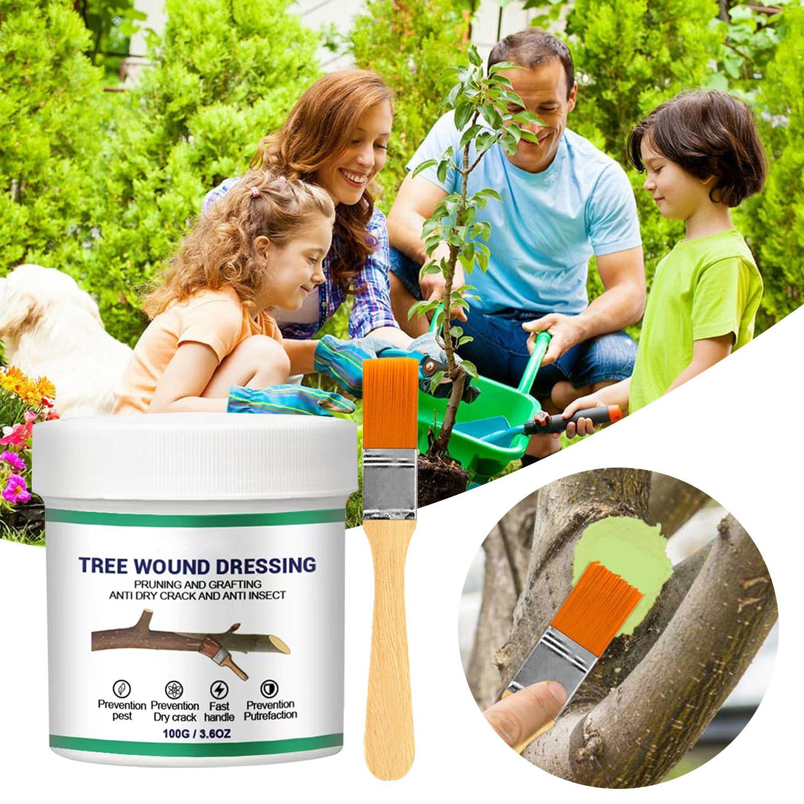 100g Tree Wound Pruning Sealer - огляд і ціна Bonsai Garden Plants